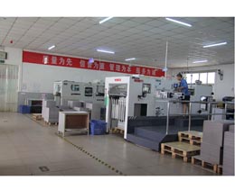 Automatic die cutting machine